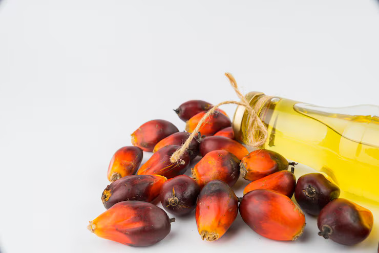 Palm Derivatives